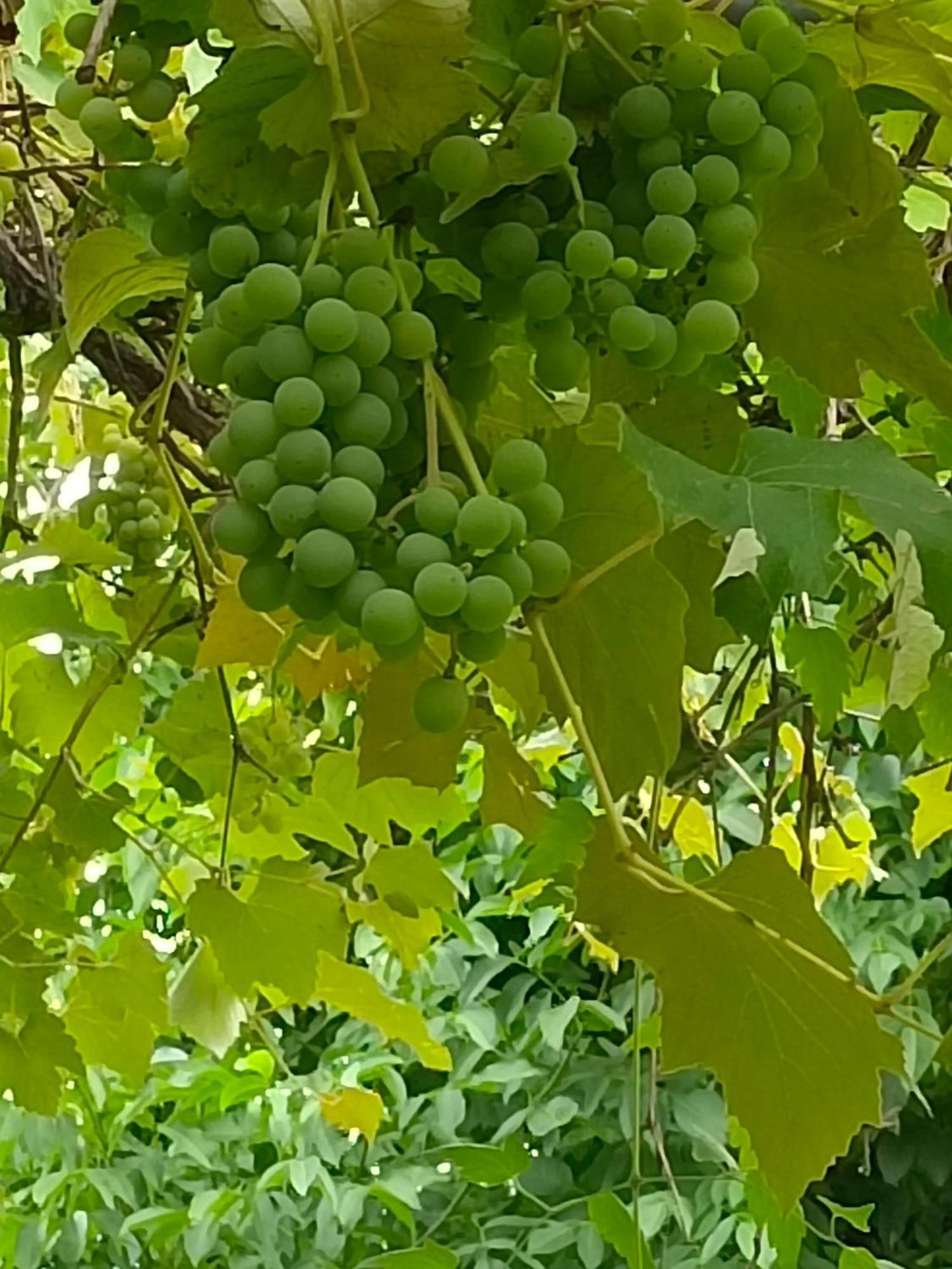 Dimora San Lorenzo Maggio Cameră foto